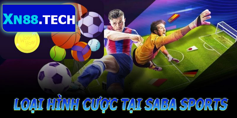 Loại hình cược tại SABA Sports trên XN88